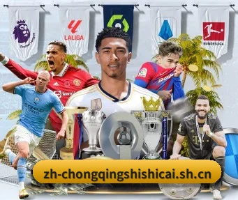 重庆时时彩 APP